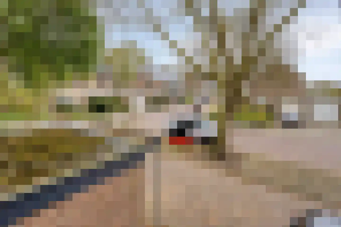 Tesselschadelaan 54 Uithoorn thumbnail 32