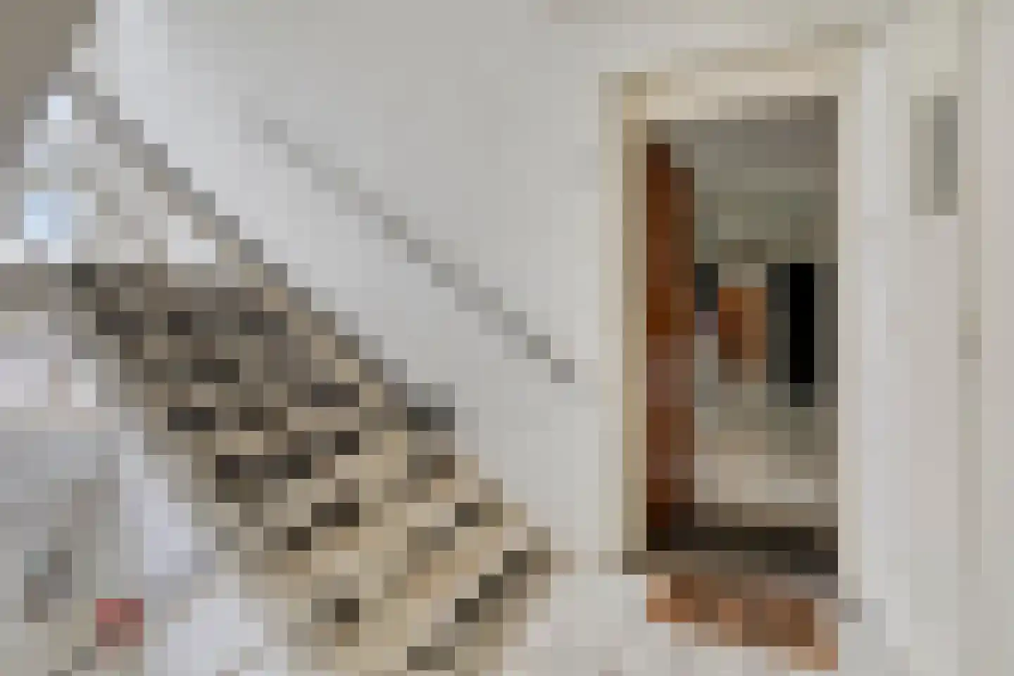 Tesselschadelaan 54 Uithoorn thumbnail 5