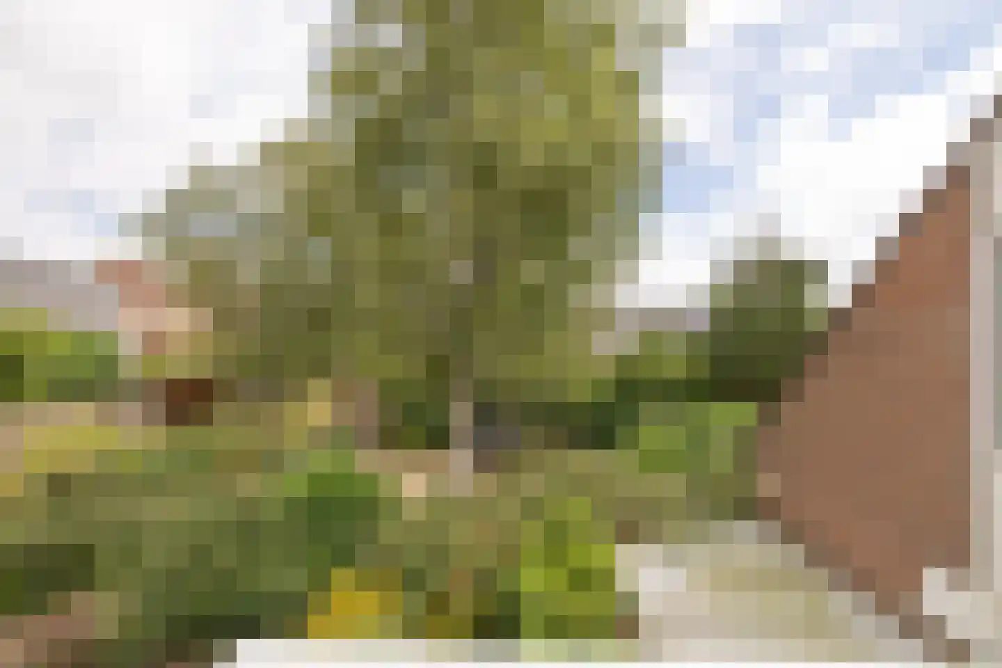 Tesselschadelaan 65 Muiderberg thumbnail 17