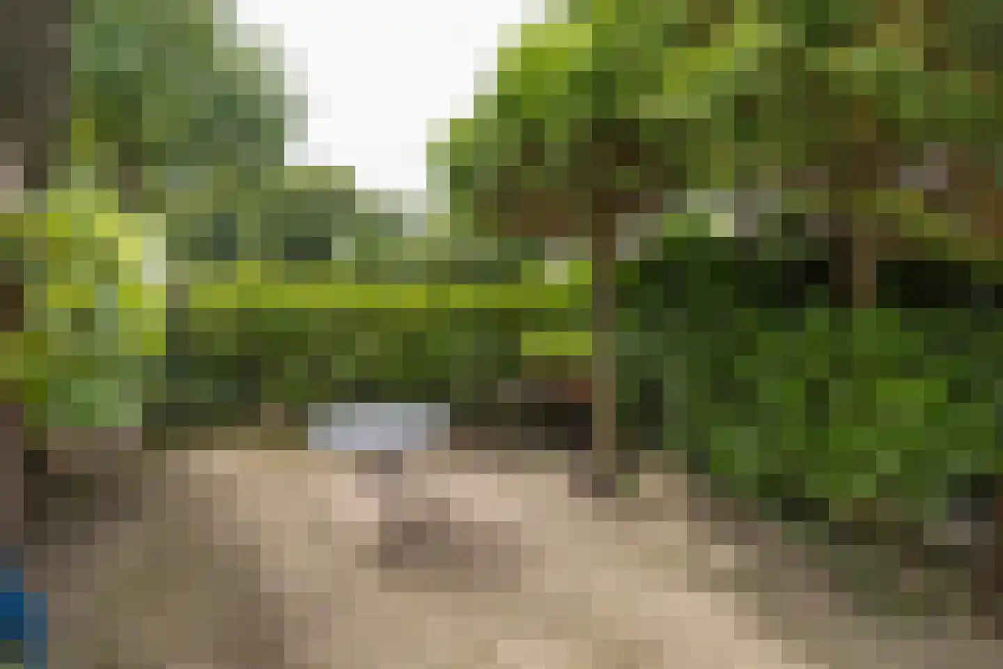 Tesselschadelaan 65 Muiderberg thumbnail 18