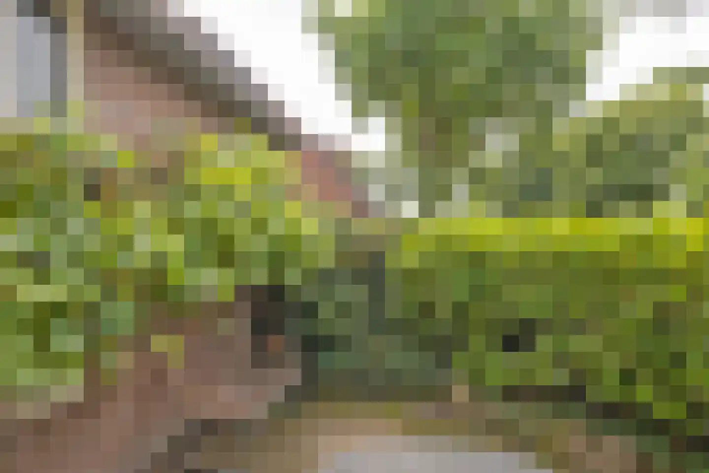 Tesselschadelaan 65 Muiderberg thumbnail 19