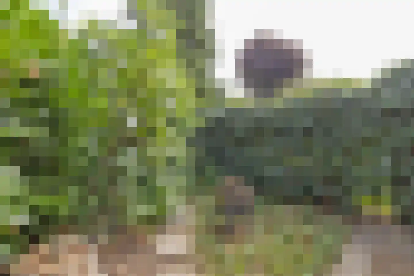 Tesselschadelaan 65 Muiderberg thumbnail 22