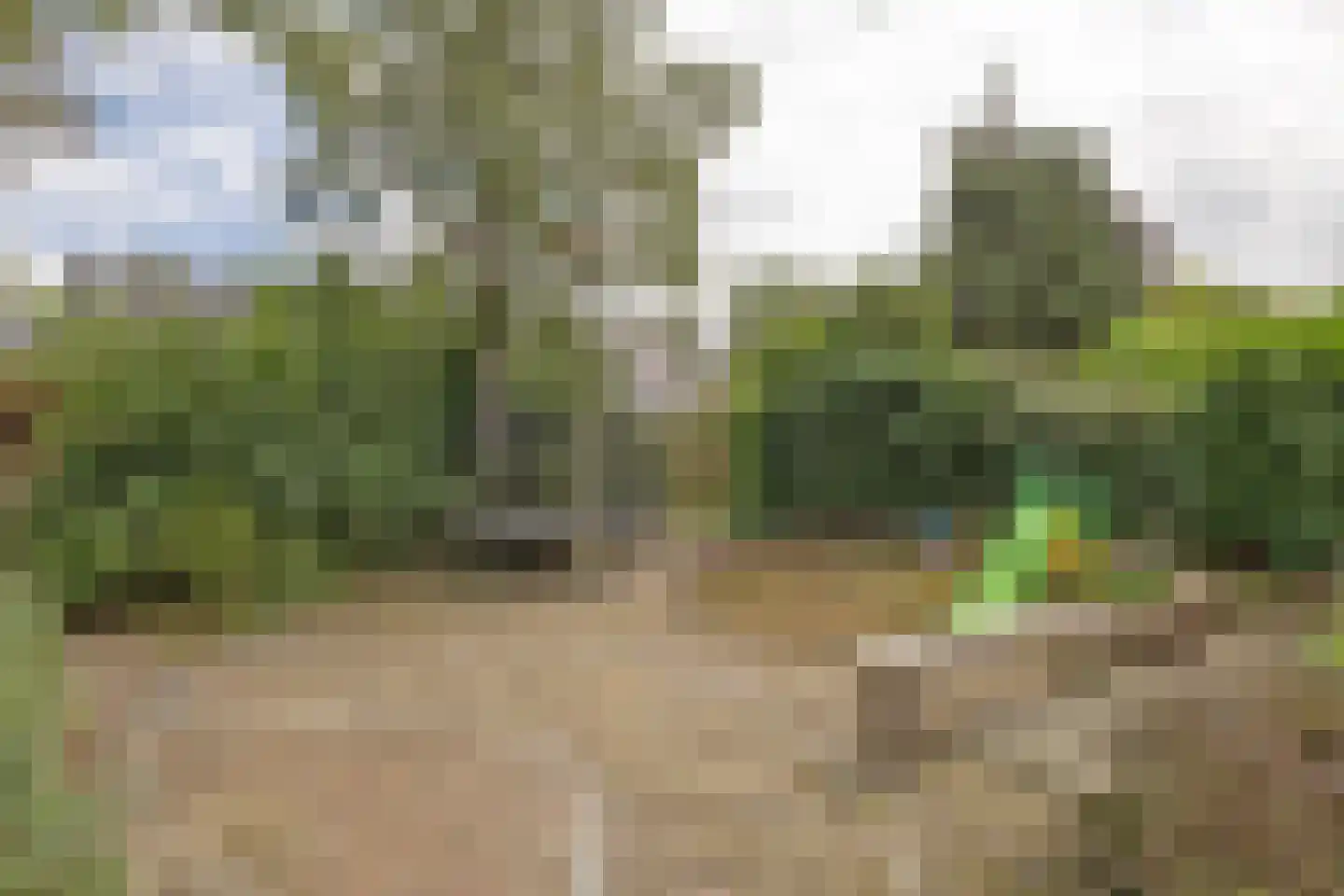Tesselschadelaan 65 Muiderberg thumbnail 23