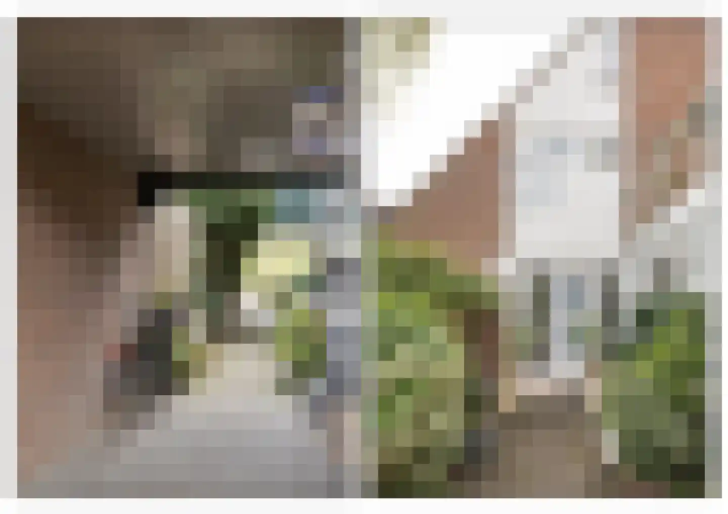Tesselschadelaan 65 Muiderberg thumbnail 4