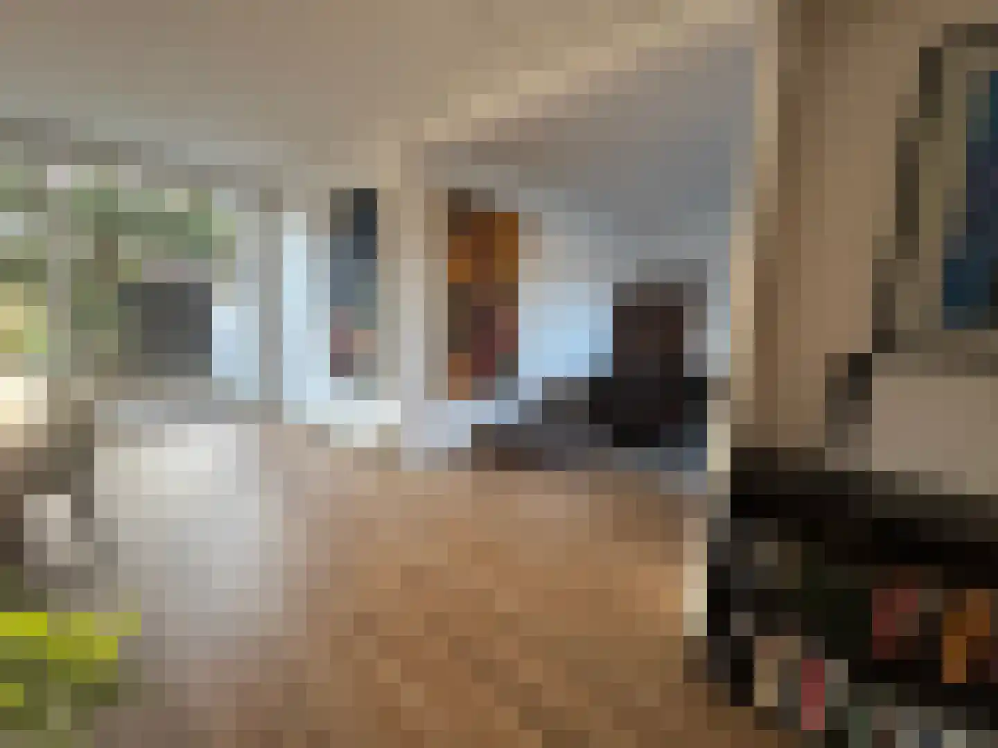 Tesselschadelaan 65 Muiderberg thumbnail 5