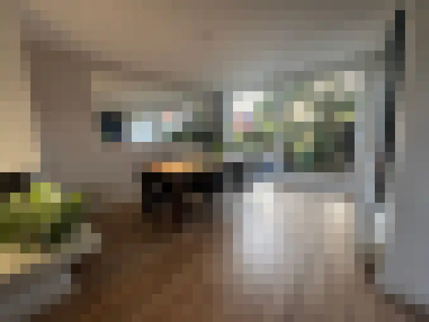 Tesselschadelaan 65 Muiderberg thumbnail 7