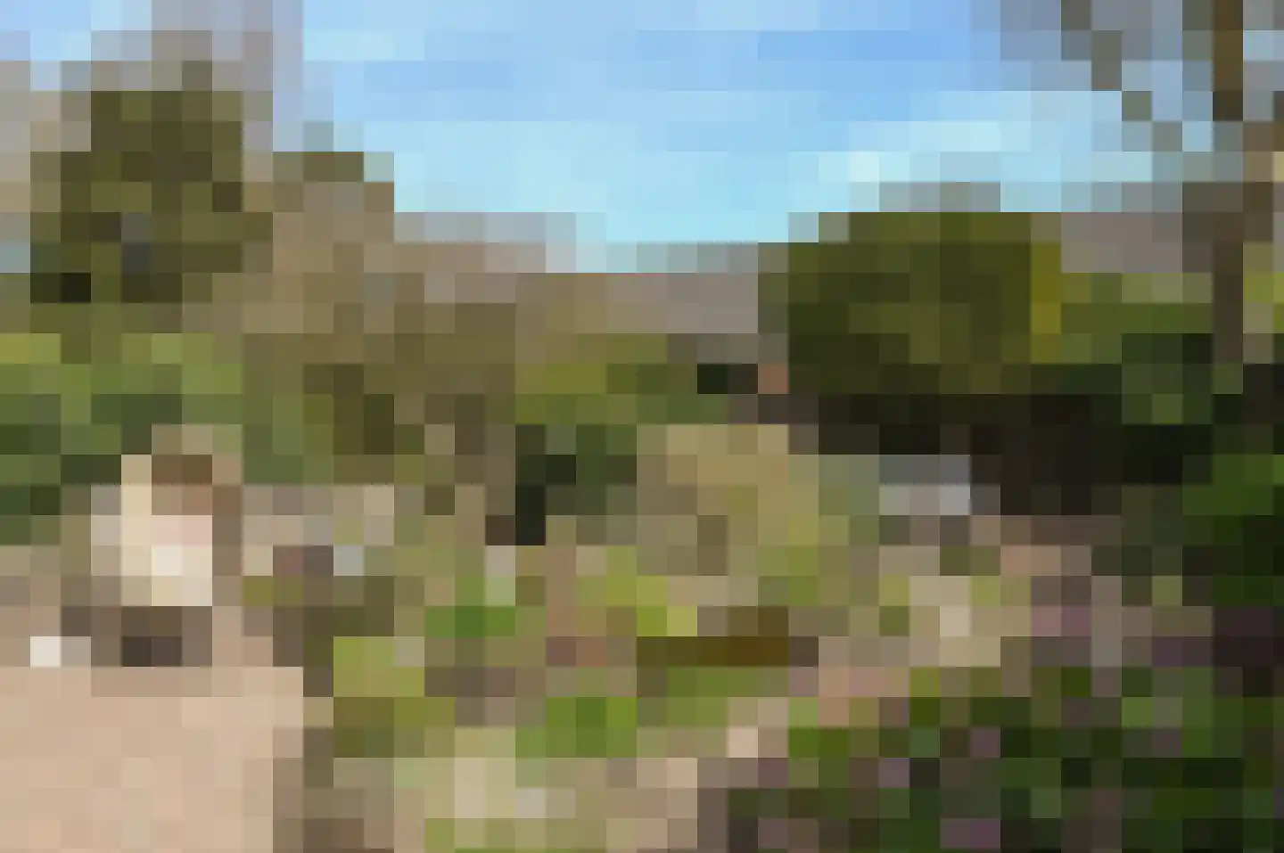 Tesselschadelaan 69 Muiderberg thumbnail 24