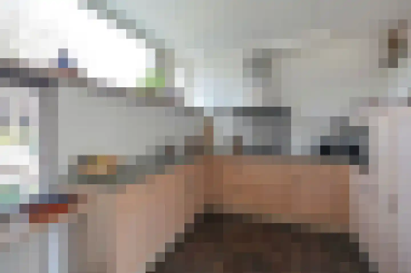 Tesselschadelaan 69 Muiderberg thumbnail 9