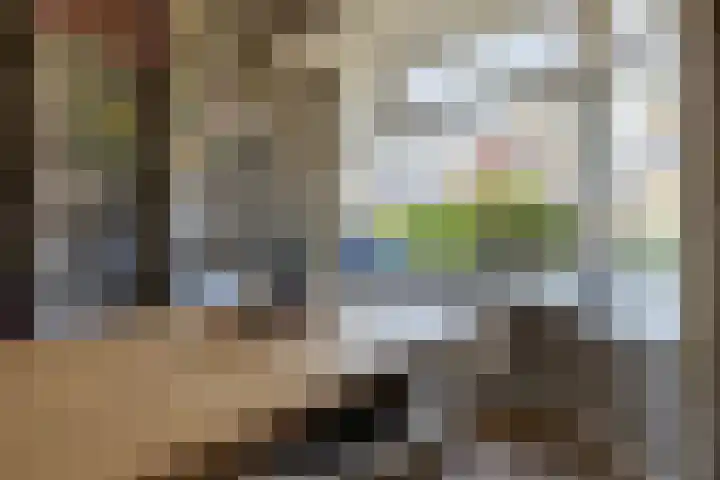 Tesselschadelaan 7 Bussum thumbnail 11
