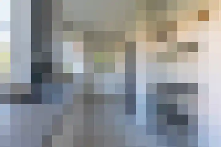 Tesselschadelaan 7 Bussum thumbnail 12