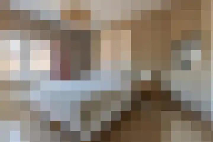 Tesselschadelaan 7 Bussum thumbnail 16