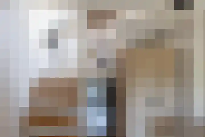 Tesselschadelaan 7 Bussum thumbnail 33