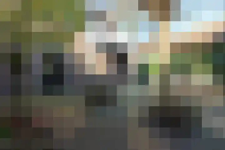 Tesselschadelaan 7 Bussum thumbnail 37