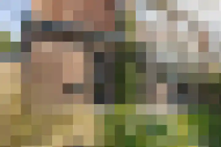 Tesselschadelaan 7 Bussum thumbnail 4