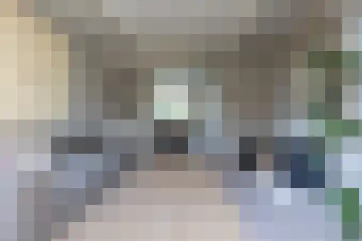 Tesselschadelaan 7 Bussum thumbnail 8