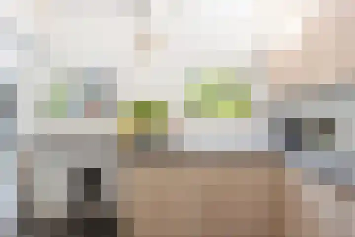 Tesselschadelaan 7 Heemstede thumbnail 19