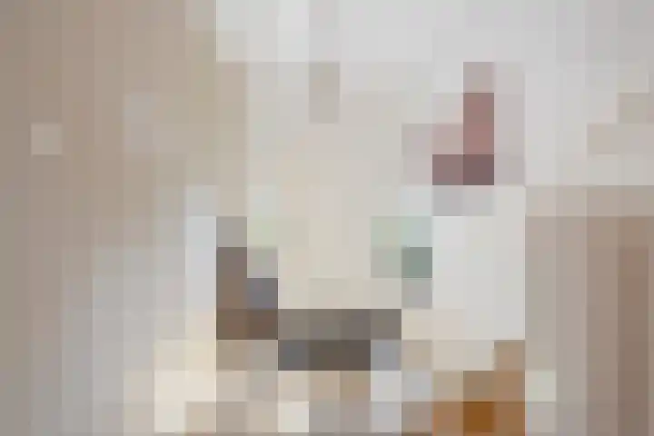 Tesselschadelaan 7 Heemstede thumbnail 22