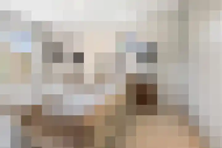 Tesselschadelaan 7 Heemstede thumbnail 26