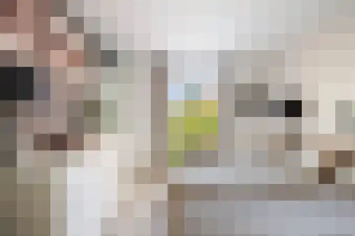 Tesselschadelaan 7 Heemstede thumbnail 27