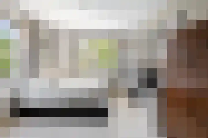 Tesselschadelaan 7 Heemstede thumbnail 35