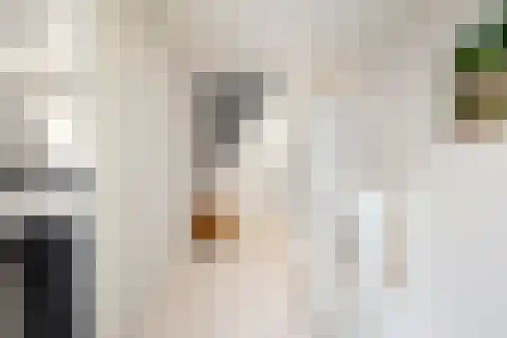Tesselschadelaan 7 Heemstede thumbnail 40