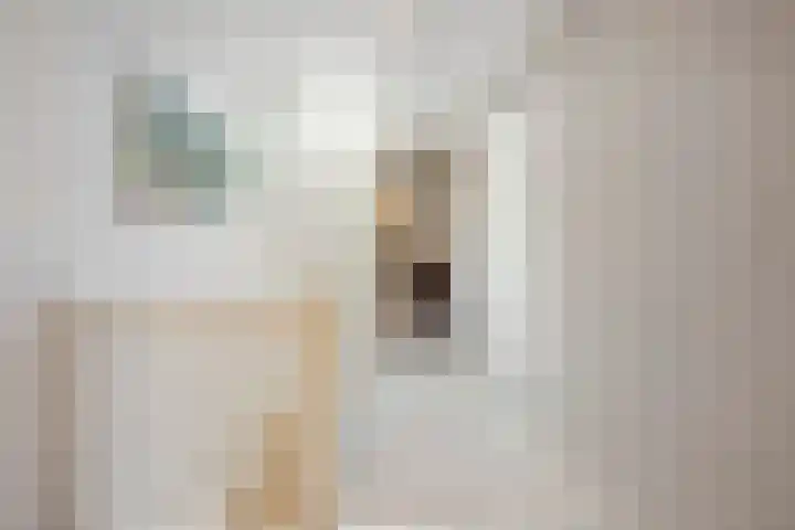 Tesselschadelaan 7 Heemstede thumbnail 41