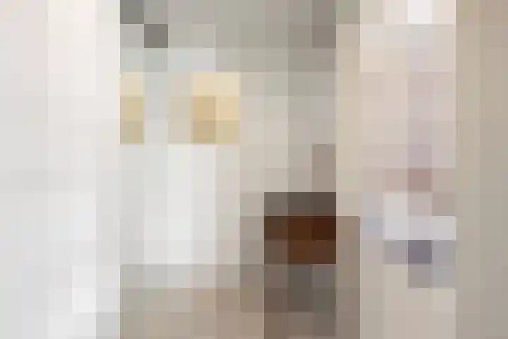 Tesselschadelaan 7 Heemstede thumbnail 42