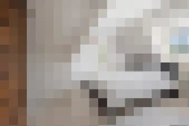 Tesselschadelaan 7 Heemstede thumbnail 43