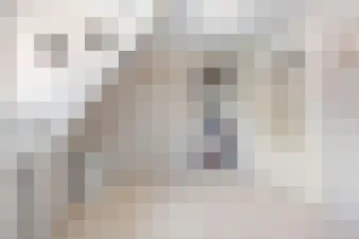 Tesselschadelaan 7 Heemstede thumbnail 47