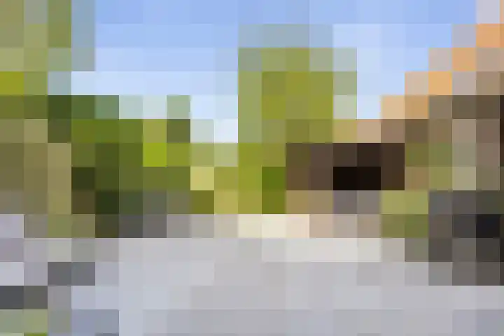 Tesselschadelaan 7 Heemstede thumbnail 52