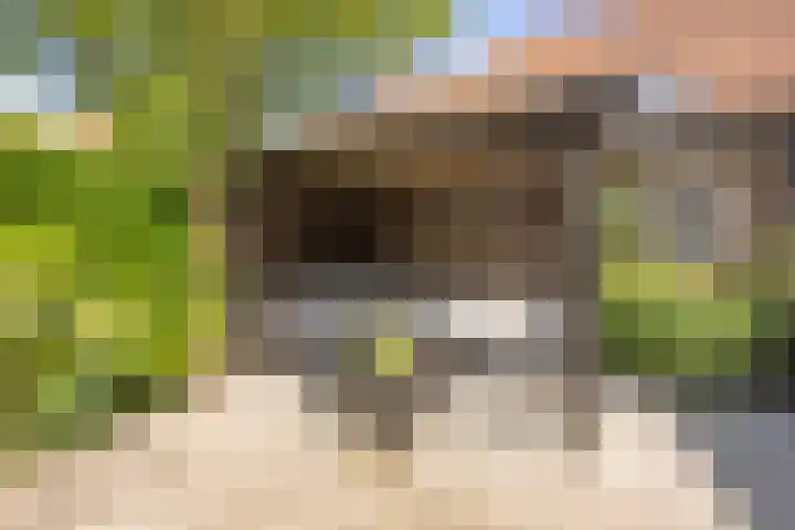 Tesselschadelaan 7 Heemstede thumbnail 53