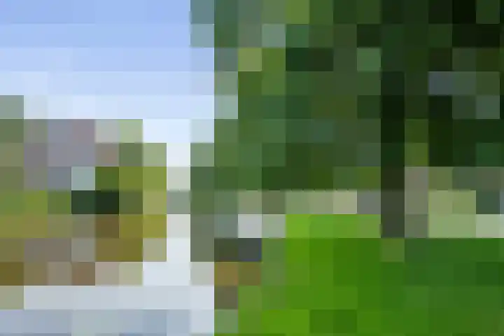 Tesselschadelaan 7 Heemstede thumbnail 57