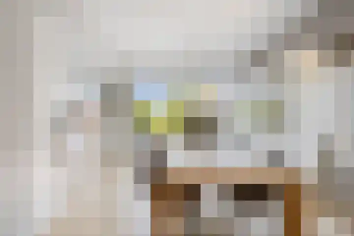 Tesselschadelaan 7 Heemstede thumbnail 9