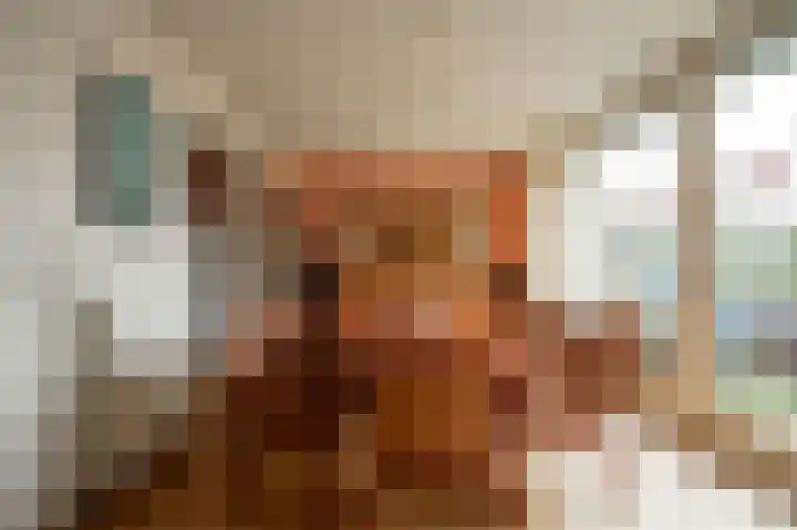Tesselschadelaan 7 Helmond thumbnail 14