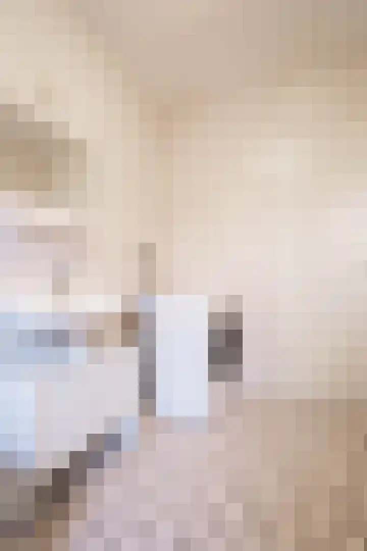 Tesselschadelaan 7 Helmond thumbnail 30