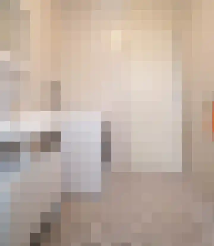 Tesselschadelaan 7 Helmond thumbnail 31