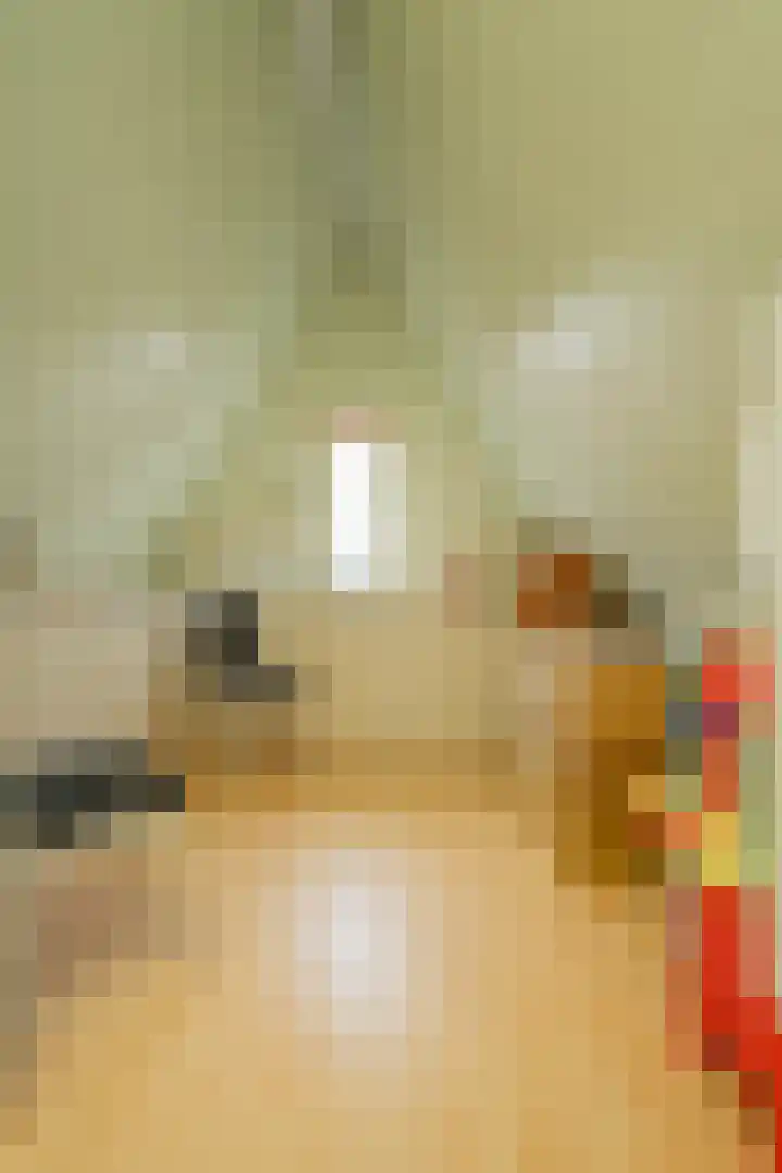 Tesselschadelaan 7 Helmond thumbnail 34