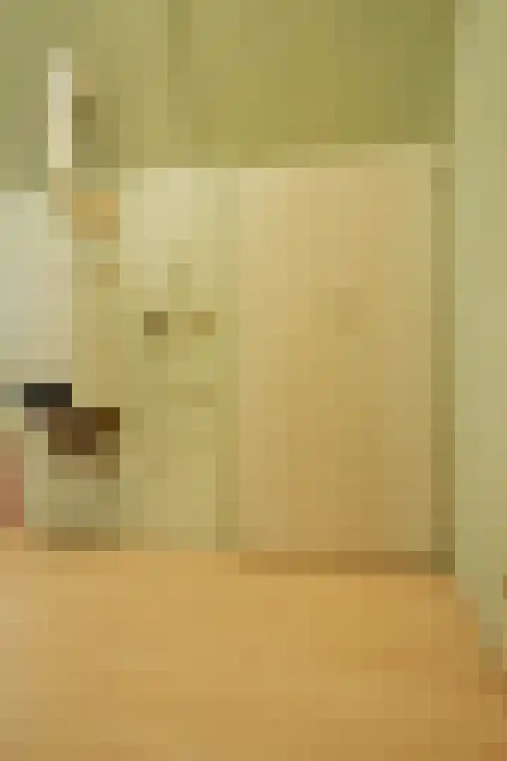 Tesselschadelaan 7 Helmond thumbnail 35