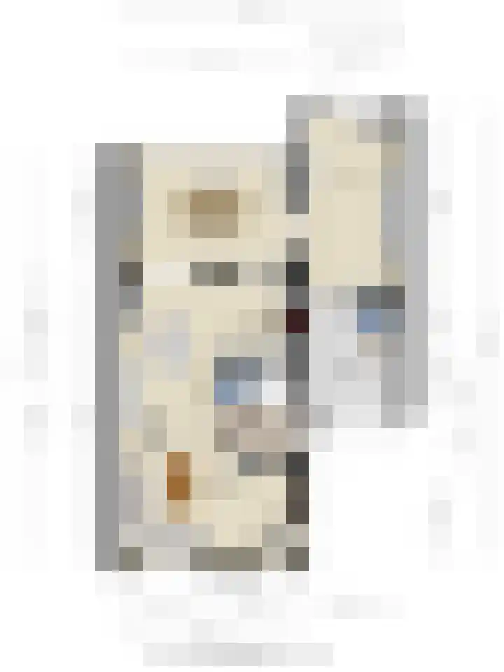 Tesselschadelaan 7 Helmond thumbnail 40
