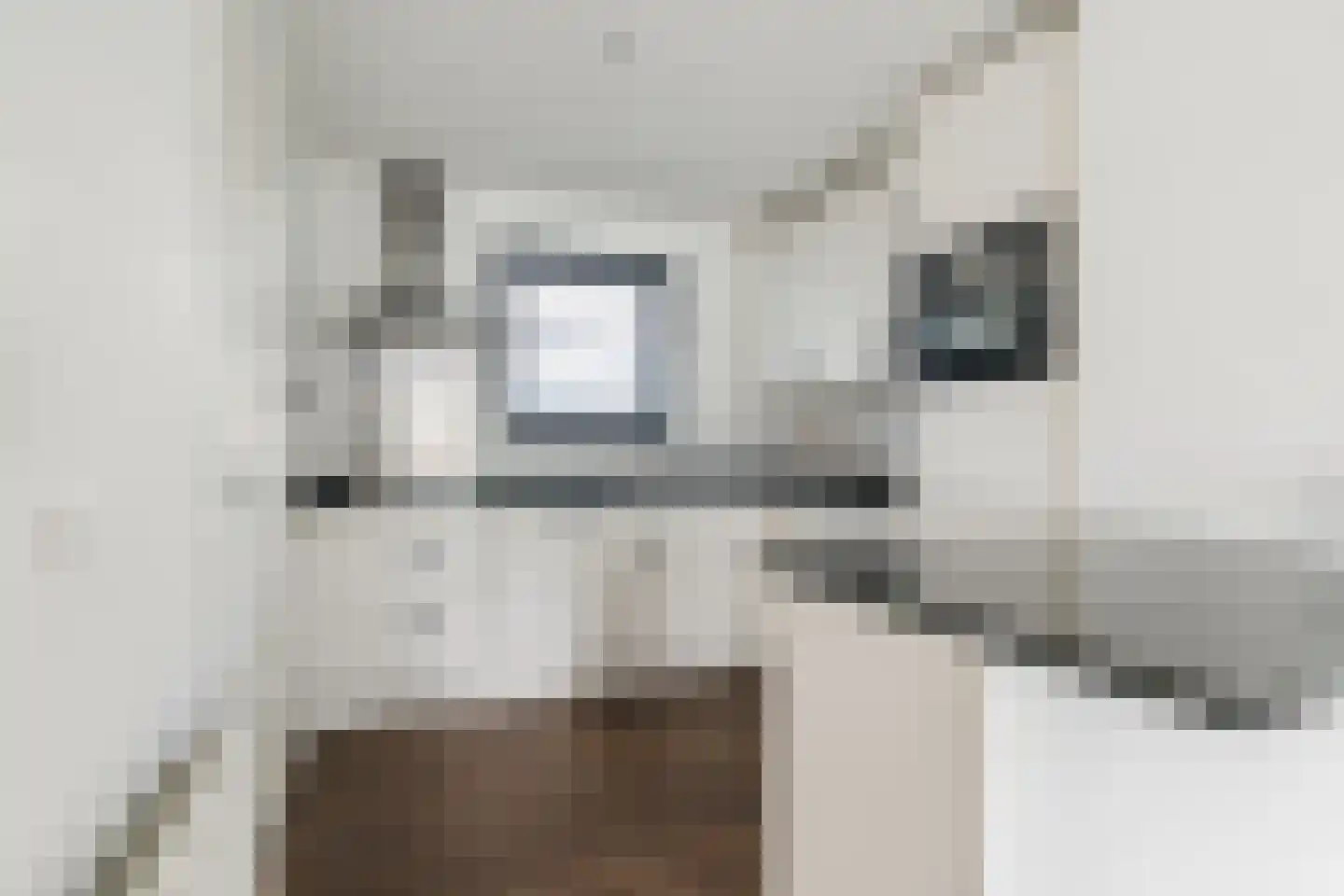 Tesselschadelaan 8 Eindhoven thumbnail 16