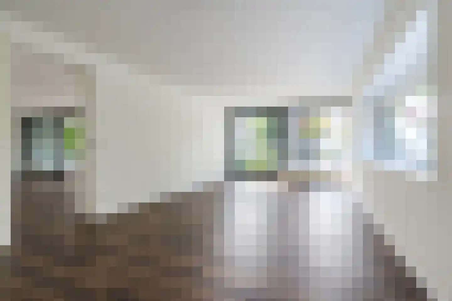 Tesselschadelaan 8 Eindhoven thumbnail 20