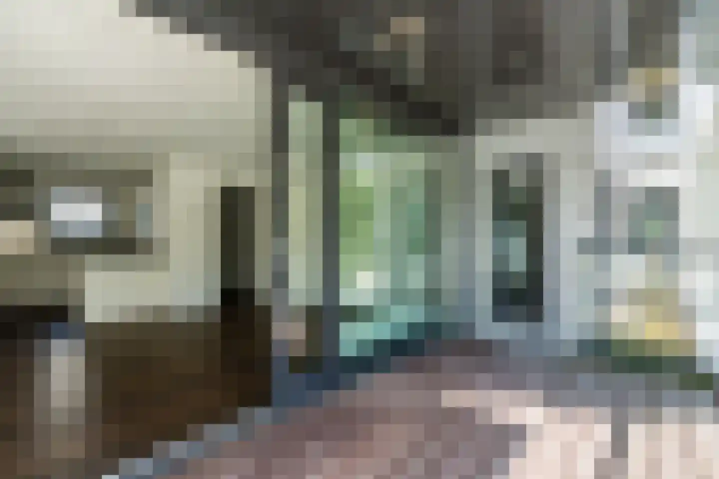 Tesselschadelaan 8 Eindhoven thumbnail 34
