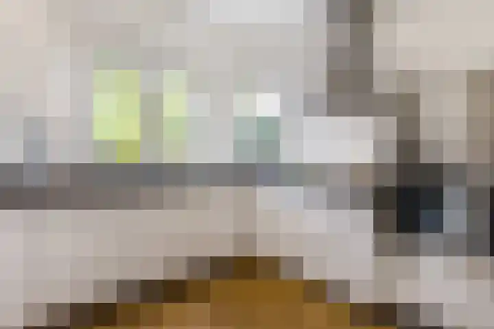 Tesselschadelaan 9 Bussum thumbnail 14