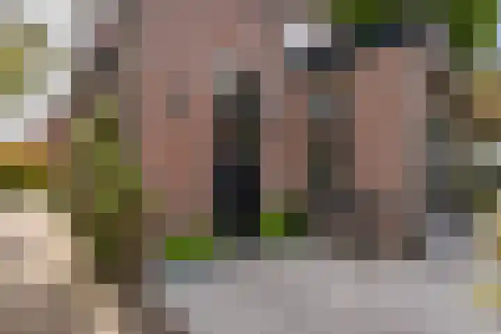 Tesselschadelaan 9 Bussum thumbnail 18