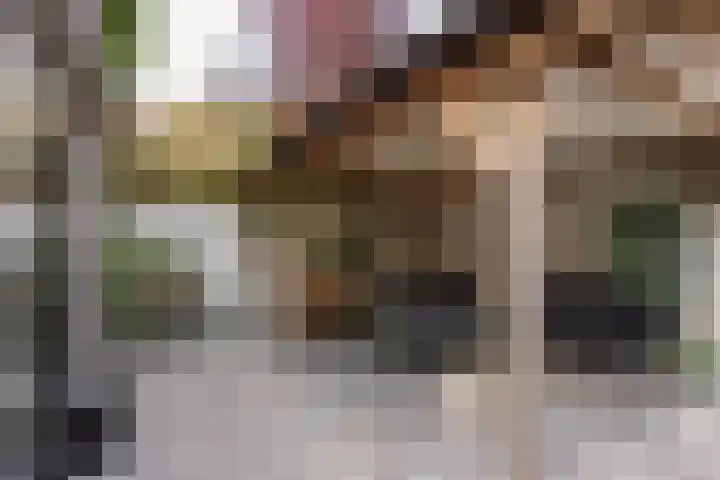 Tesselschadelaan 9 Bussum thumbnail 20