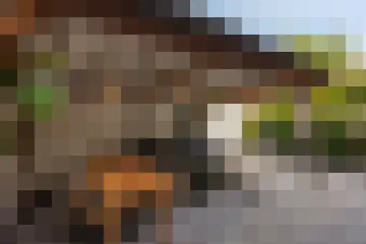 Tesselschadelaan 9 Bussum thumbnail 21