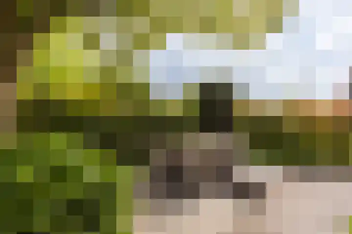 Tesselschadelaan 9 Bussum thumbnail 22