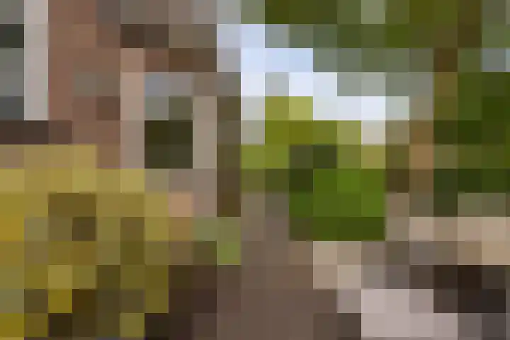 Tesselschadelaan 9 Bussum thumbnail 23