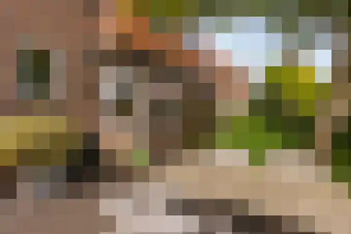 Tesselschadelaan 9 Bussum thumbnail 24
