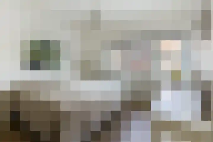 Tesselschadelaan 9 Bussum thumbnail 27